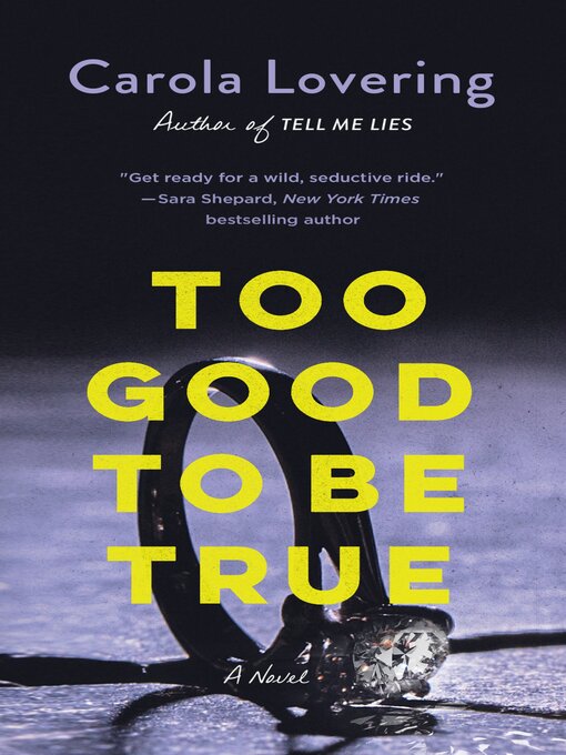 Title details for Too Good to Be True by Carola Lovering - Available